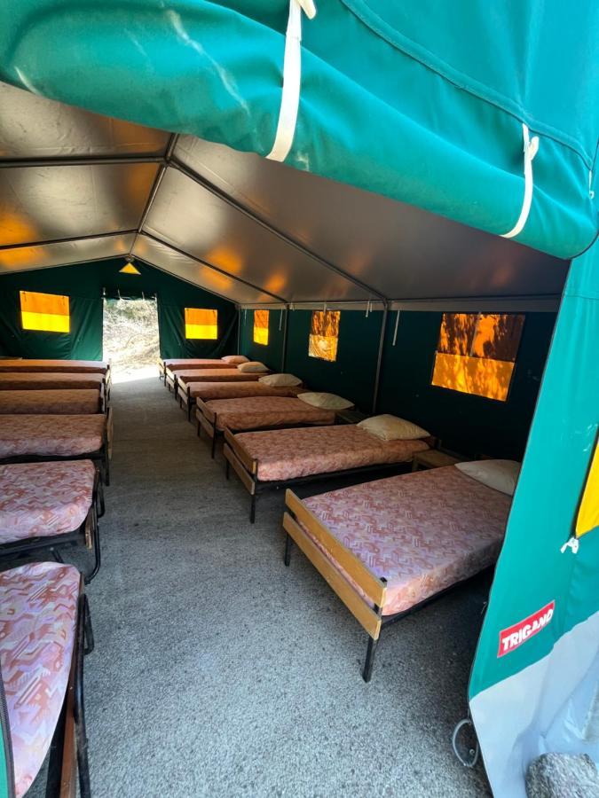 Relais International De La Jeunesse Калви Екстериор снимка